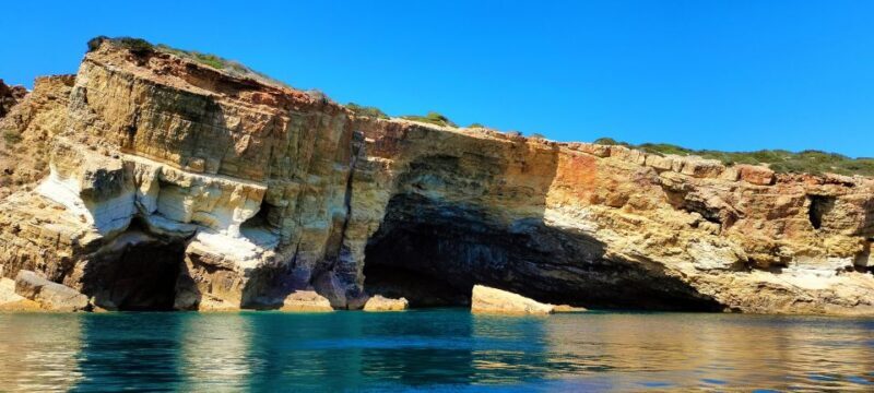 Dolphin Watching and Local Caves - Who Is This Tour Best For?