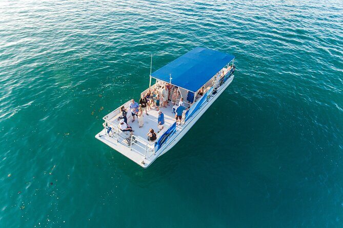 Dolphin Watching and Snorkeling Adventure in Key West - Final Thoughts