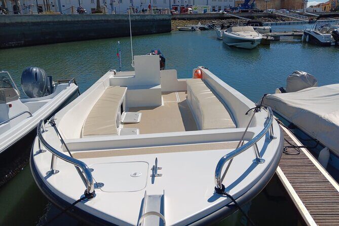 Dolphin watching and wildlife from Faro - Key Points