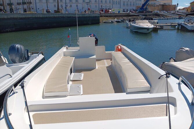 Dolphin watching and wildlife from Faro - Who Is This Tour Best For?