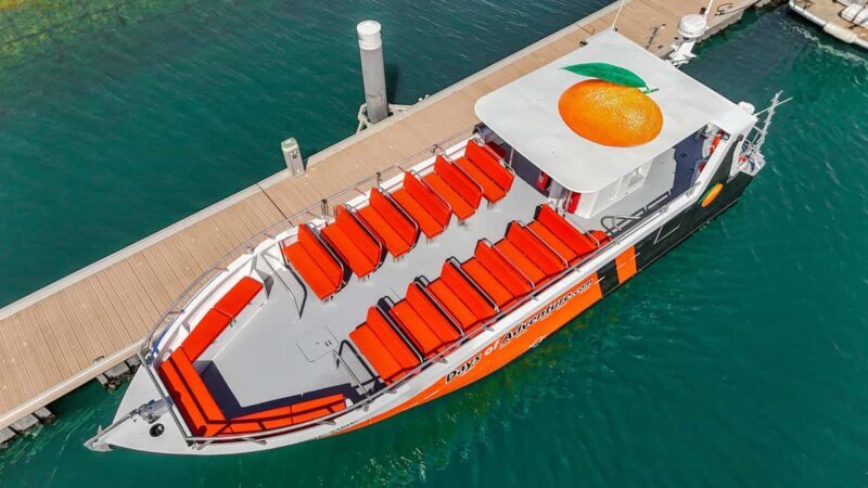 DOLPHIN WATCHING & BENAGIL CAVE TOUR FROM LAGOS - DUAL TRIP - How the Tour is Structured