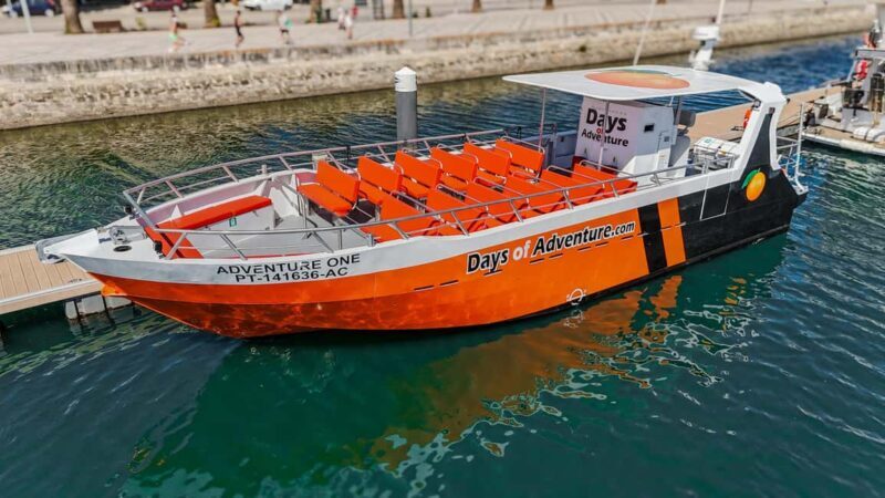 DOLPHIN WATCHING & BENAGIL CAVE TOUR FROM LAGOS - DUAL TRIP - The Experience from a Traveler’s Perspective