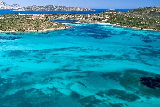 Dolphin Watching Boat Excursion to Figarolo Island from Olbia - What to Expect from the Dolphin Watching & Snorkeling Tour