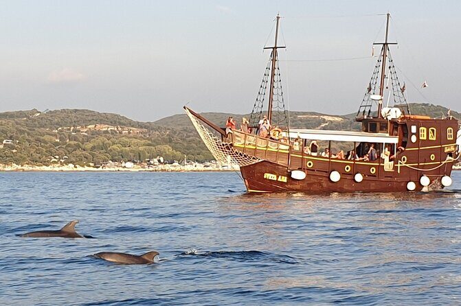 Dolphin Watching Boat Trip around Vrsar - Additional Resources