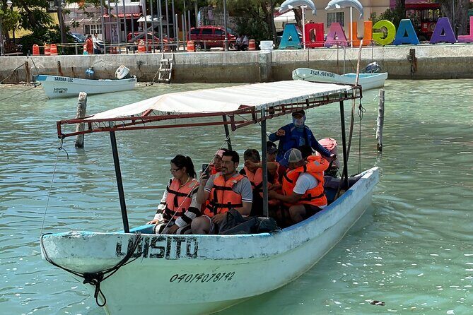 Dolphin watching by private boat from Isla Aguada - Who Is This Tour Best For?
