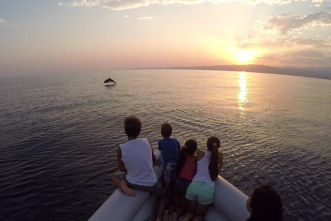 Dolphin Watching & Conservation - Dolphins in the Gulf of Catania - What is this dolphin tour all about?