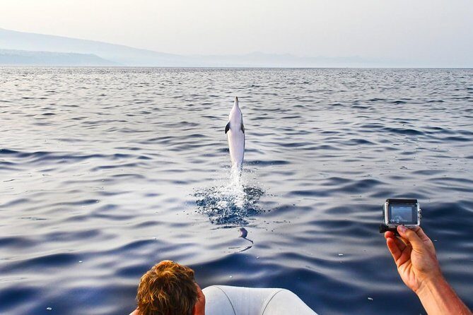 Dolphin Watching & Conservation - Dolphins in the Gulf of Catania - What’s included and what’s not