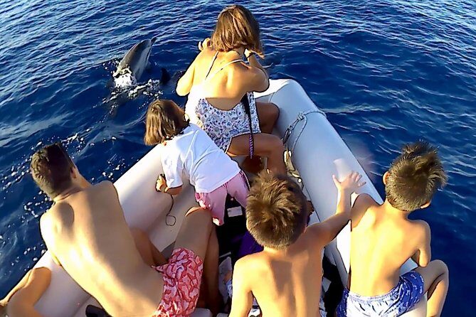 Dolphin Watching & Conservation - Dolphins in the Gulf of Catania - How the tour feels in practice