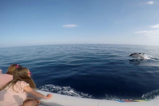 Dolphin Watching & Conservation - Dolphins in the Gulf of Catania - Frequently Asked Questions