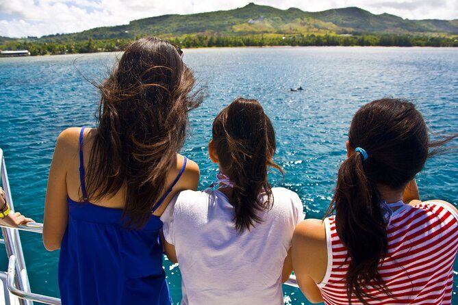 Dolphin Watching Cruise with Underwater Observatory Viewing - How the Tour Is Structured and Its Value