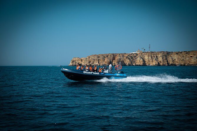 Dolphin Watching from Lagos with Marine Biologists - FAQs