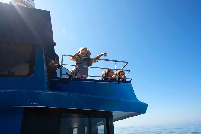 Dolphin Watching Half-Day Cruise from Lagos - The Experience: What to Expect on the Cruise