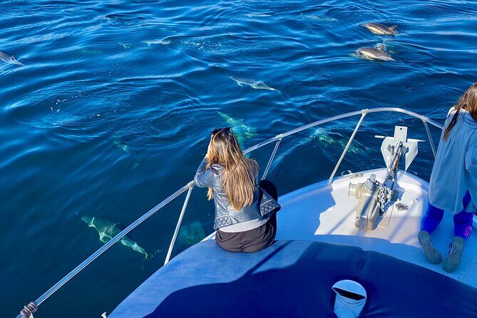 Dolphin Watching in Benalmadena - Dolphin Watching in Benalmádena: A Relaxed Coastal Adventure
