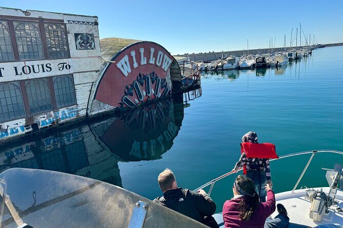 Dolphin Watching in Benalmadena - Key Points