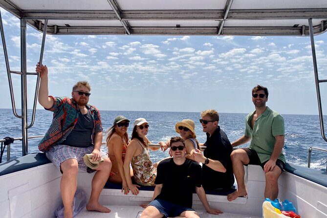 Dolphin Watching in Benalmadena - Pricing and Value