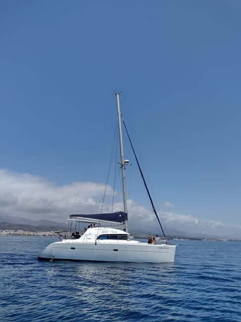 Dolphin watching in Estepona - Who is This Tour Best Suited For?