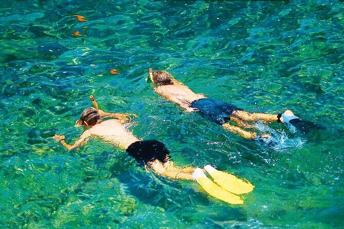 Dolphin Watching in Majorca - Frequently Asked Questions