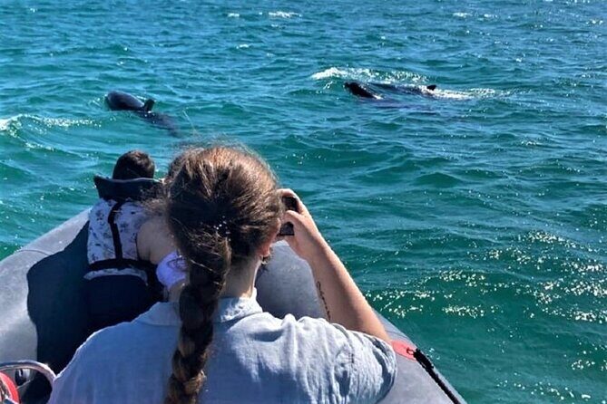 Dolphin watching in Setúbal - Who Should Consider This Tour?