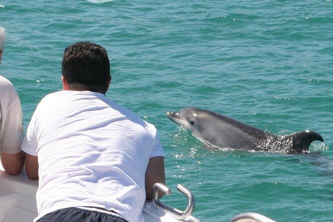 Dolphin Watching in the Wild - Half Day - Exploring the Dolphin Watching in the Wild - Half Day Tour: A Detailed Look