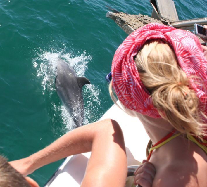 Dolphin Watching in the Wild - Half Day Tour - FAQs