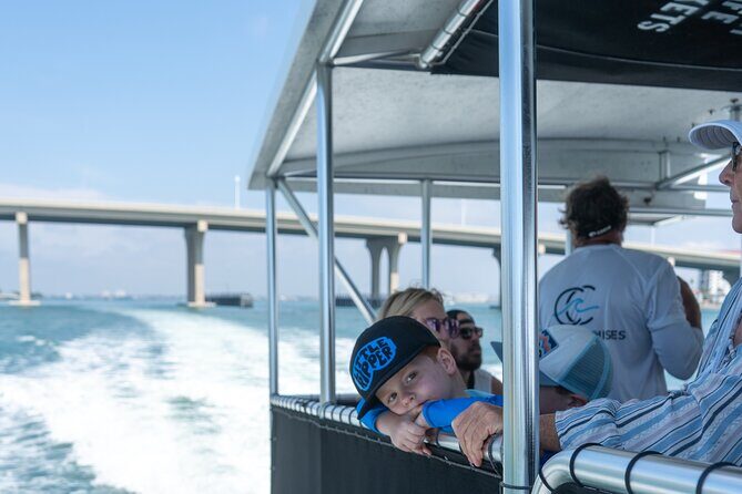 Dolphin Watching Intercoastal Cruise - What to Expect from the Dolphin Watching Intercoastal Cruise