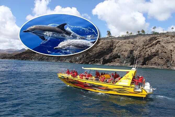 Dolphin Watching Mini Cruise and Snorkeling from Lanzarote - Key Points