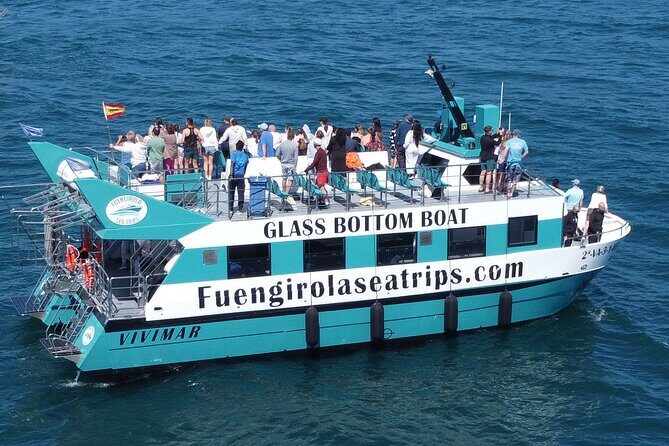 Dolphin watching on a Catamaran in Fuengirola - The Wildlife Experience: Dolphins and More