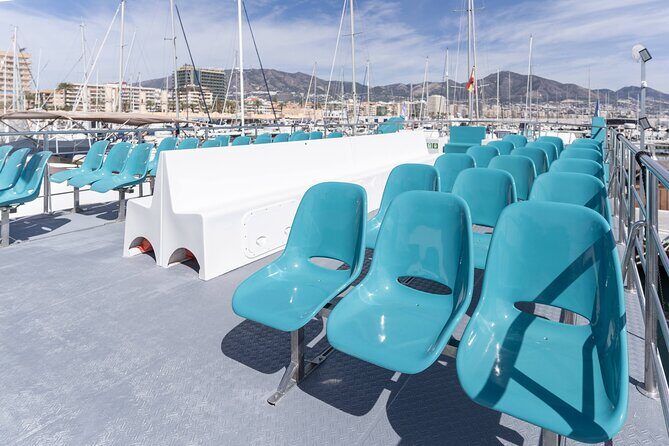 Dolphin watching on a Catamaran in Fuengirola - Timing, Group Size, and Booking
