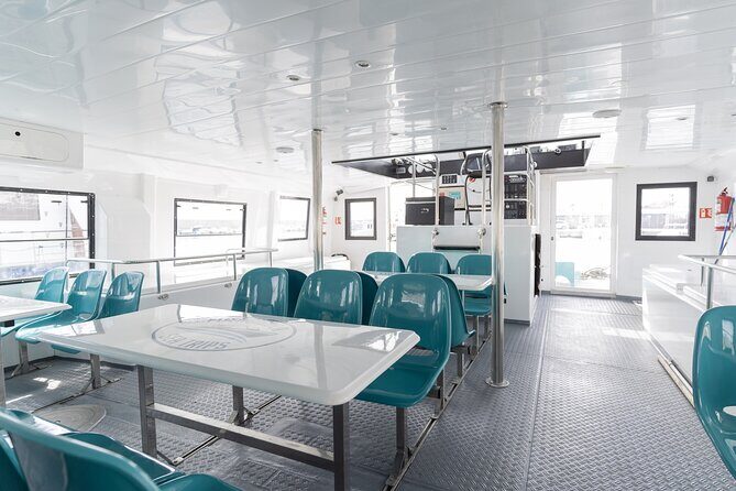 Dolphin watching on a Catamaran in Fuengirola - Who Is This Trip Best For?