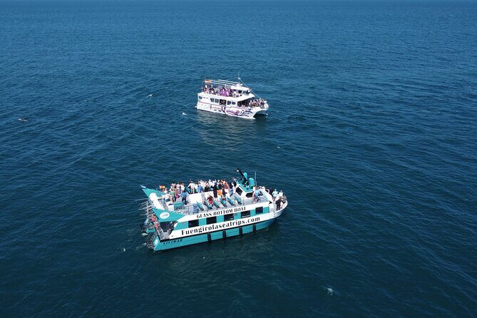 Dolphin watching on a Catamaran in Fuengirola - FAQ