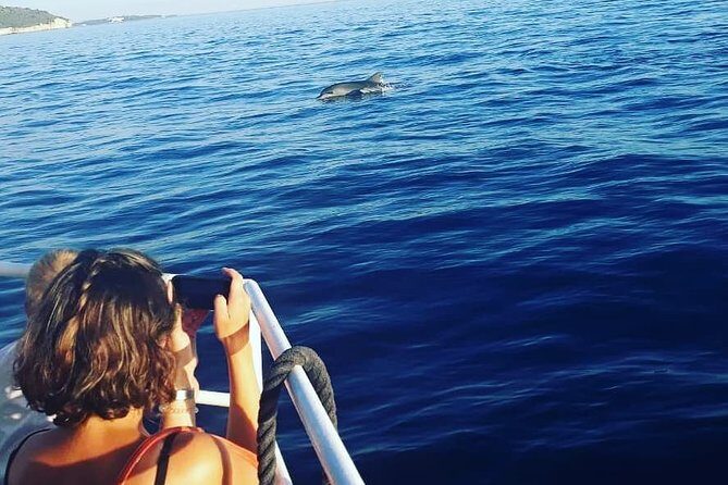 Dolphin Watching & Sunset Boat Tour With Dinner and Drinks - What Travelers Really Think