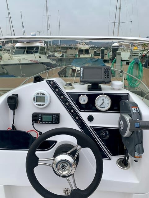 DOLPHIN WATCHING - Setting the Scene: What to Expect from the Dolphin Watching Tour