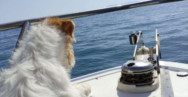 DOLPHIN WATCHING - Detailed Itinerary Breakdown