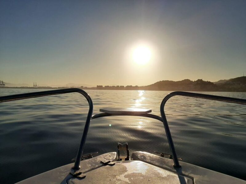 DOLPHIN WATCHING - Why This Tour Might Be Perfect for You