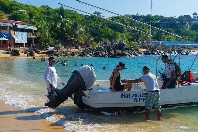 Dolphin Watching Tour - Frequently Asked Questions (FAQs)