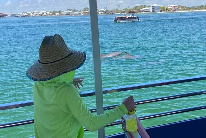 Dolphin Watching Tour in Orange Beach - What to Expect on the Dolphin Watching Tour