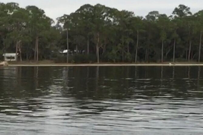 Dolphin Watching Tour in Orange Beach - FAQ