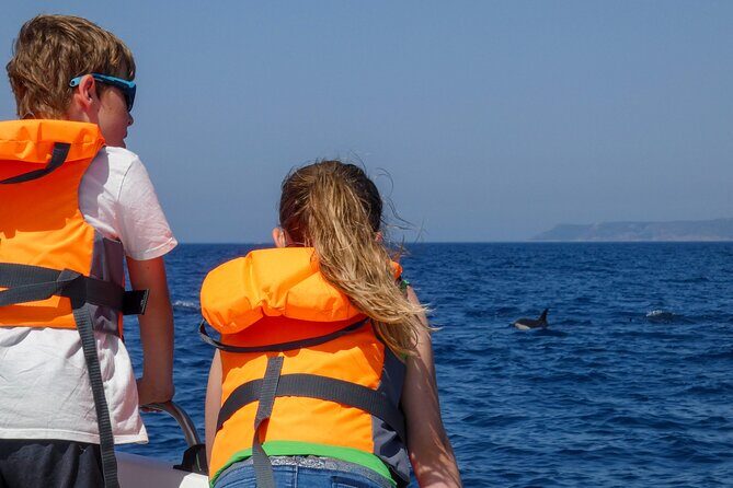 Dolphin Watching with Biologist in Arrábida Natural Park - FAQs