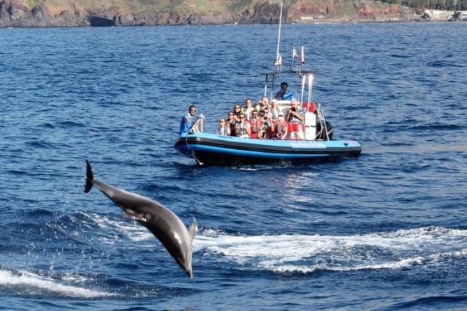 Dolphin - Whale - Turtle - Bird Watching - Stop 3: Câmara de Lobos and Churchill’s painting spot