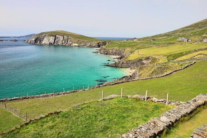 Dolphin & Whale Watching (4hrs) + Blasket Island Landing (3hrs) - The Adventure Begins: What to Expect