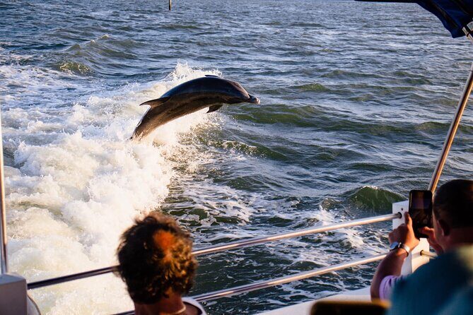 Dolphin Wildlife Cruise Fort Myers Beach - What to Expect from the Tour