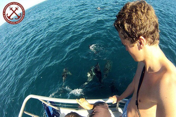 Dolphins Watching in the National Park Brijuni from Pula - Dolphins Watching in the National Park Brijuni from Pula: A Detailed Review