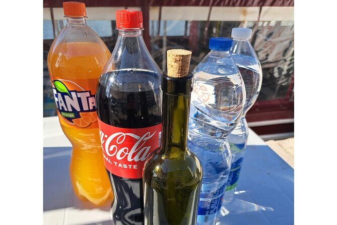 Dolphins Watching in the National Park Brijuni from Pula - Final Thoughts