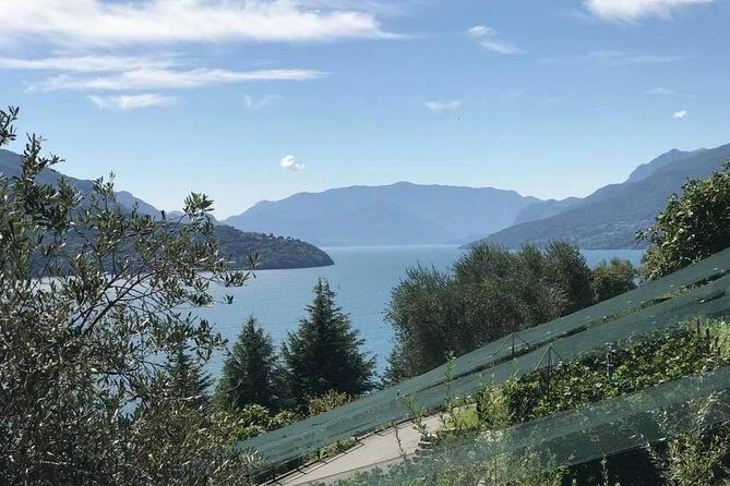 Domaso: Wine Tasting at the Winery on Como Lake - What to Expect During Your Visit