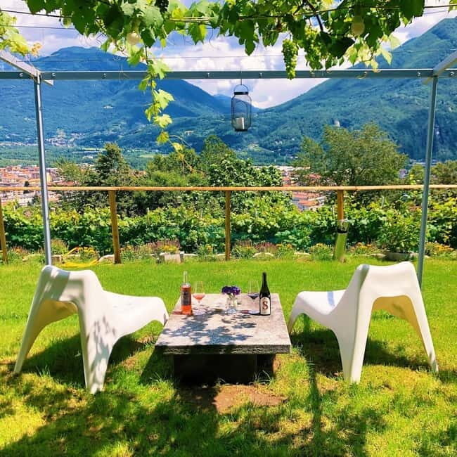 Domodossola: Savor Wines & Local Treats in a Scenic Vineyard - The Sum Up