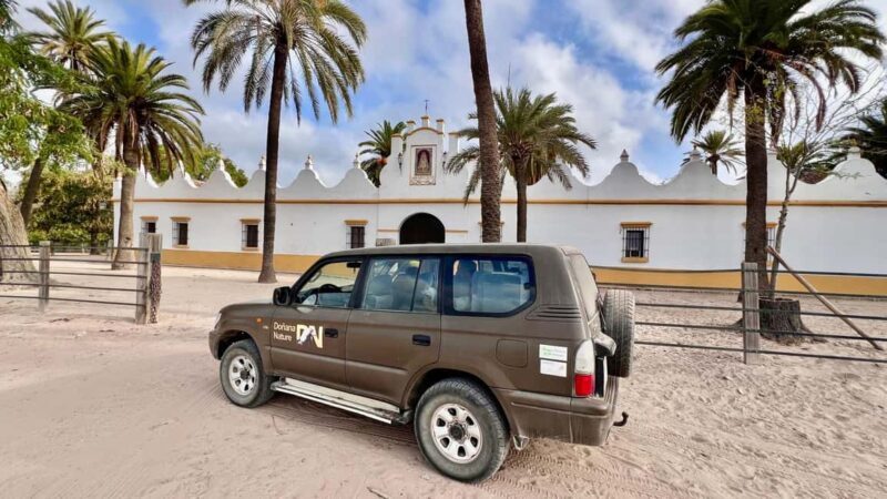 Doñana: 4x4 Excursion and Exclusive Access to Coto del Rey - A Deep Dive Into the Doñana 4x4 Tour