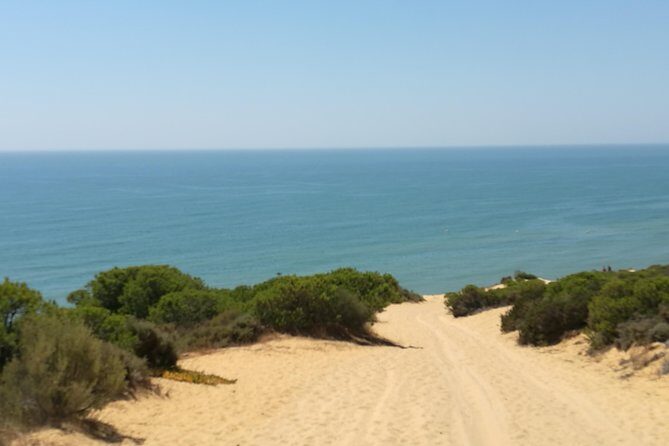 Donana National Park and El Rocío: Private Tour from Seville - A Deep Dive into the Experience