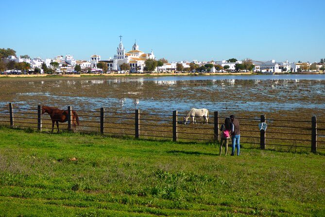 Doñana National Park in 4x4 and El Rocío - What You’ll Do Step-by-Step