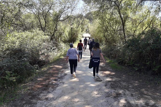 Doñana National Park in 4x4 and El Rocío - Authentic Traveler Feedback