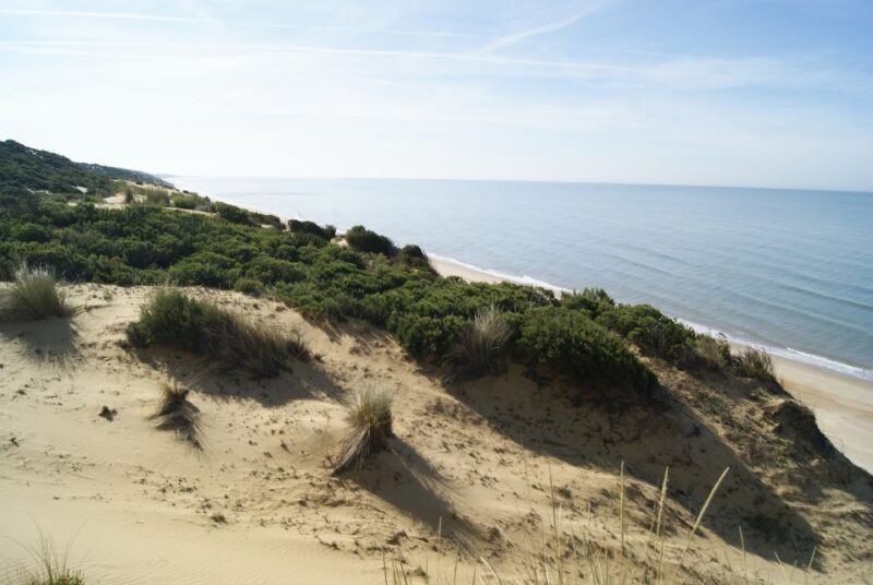 Doñana National Park Off-Road Tour from Seville - The Value of This Tour